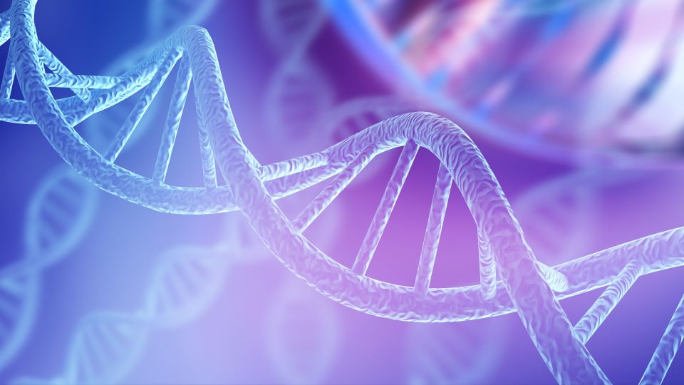 Progènes ADN : Les articles sur les tests ADN
