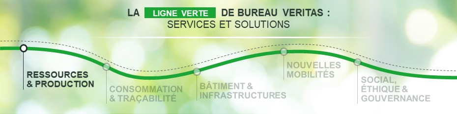 Bandeau Green Line Ressources et Production pillier