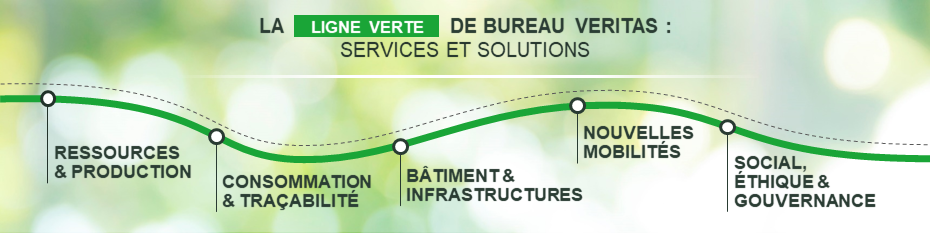 Bandeau Green Line 