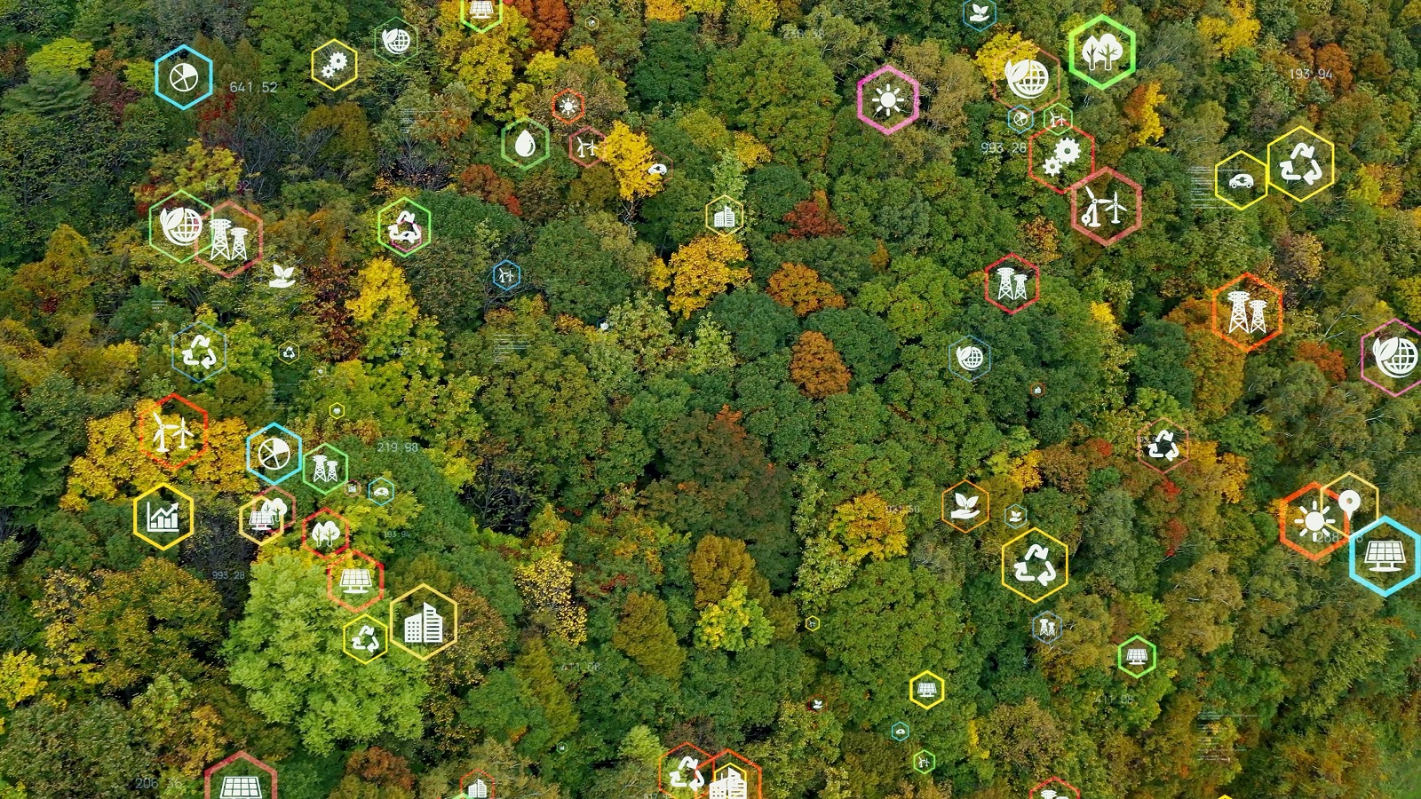 Forêt avec pictogrammes ESG