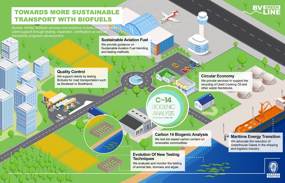 BV Infographics on biofuels