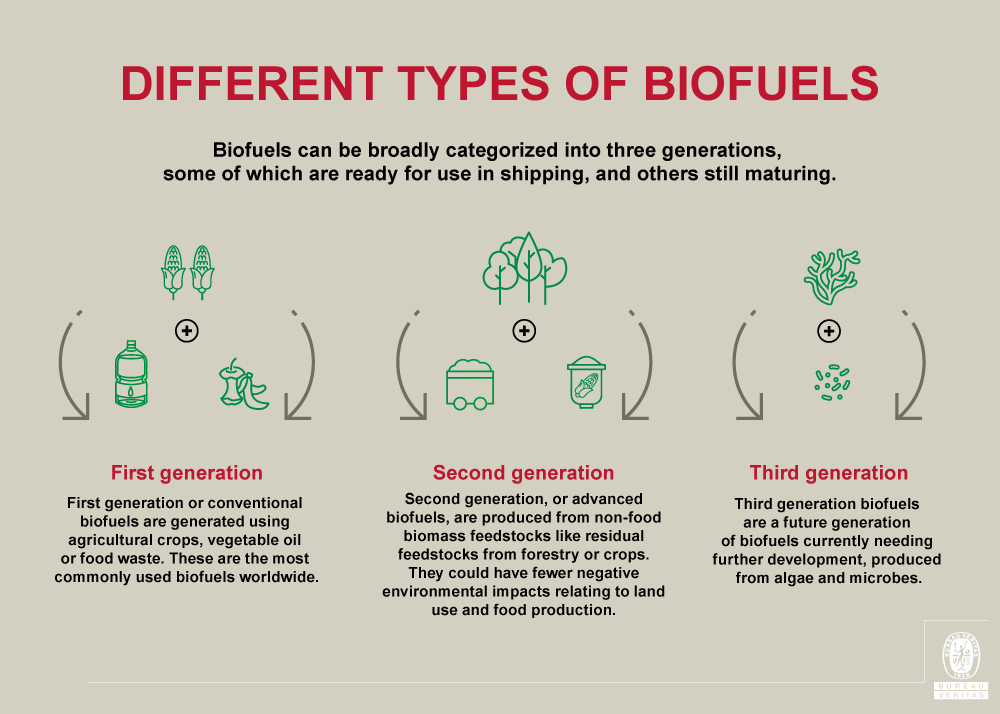 Different types of biofuels